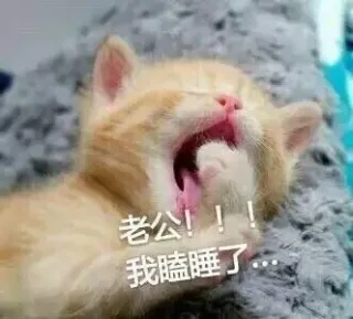 老公！！！我瞌睡了！！！
