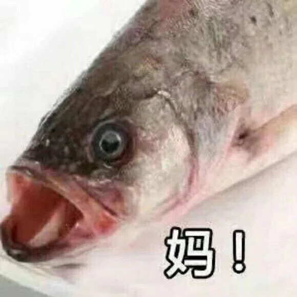 妈！！！（鱼）（妈！！！（鱼））
