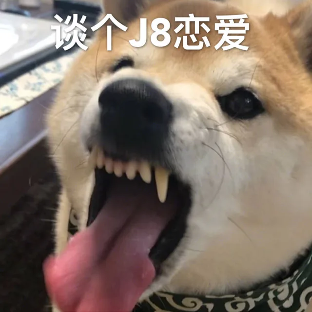 谈个J8恋爱