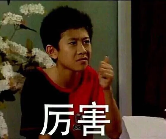 家有儿女刘星表情包 _家有儿女_刘星