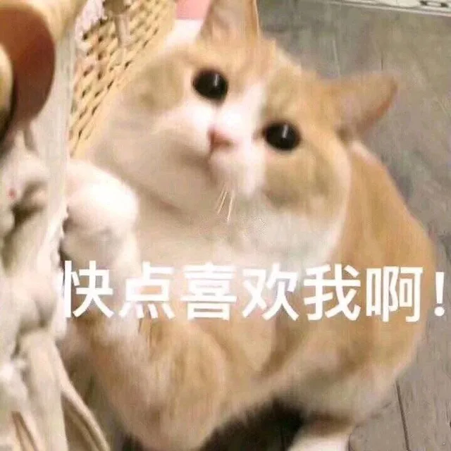 快点喜欢我啊