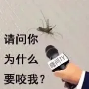 蚊子表情包_蚊子