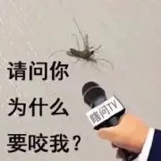 蚊子表情包_蚊子表情包