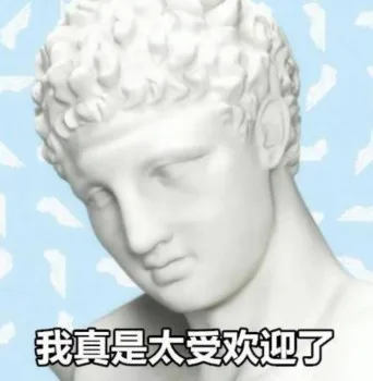 我真是太受欢迎了（石膏表情包）
