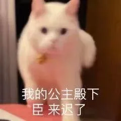 我的公主殿下臣来迟了（我的公主殿下臣来迟了）