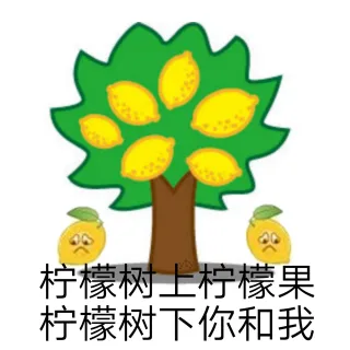 柠檬树上柠檬果，柠檬树下你和我