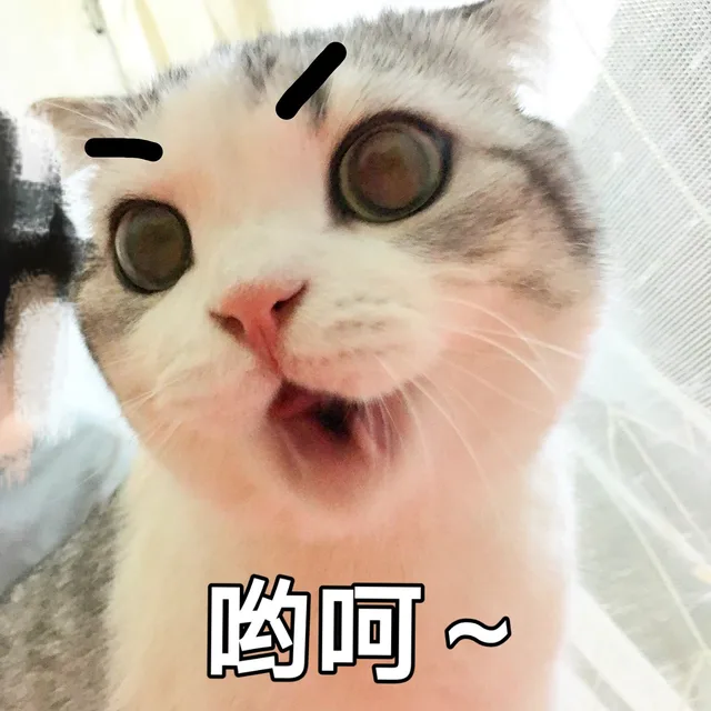 哟呵~
