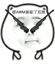 被AWM蒙蔽了双眼