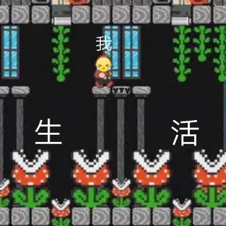 我和生活