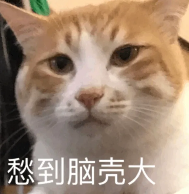 愁到脑壳大（愁到脑壳大）