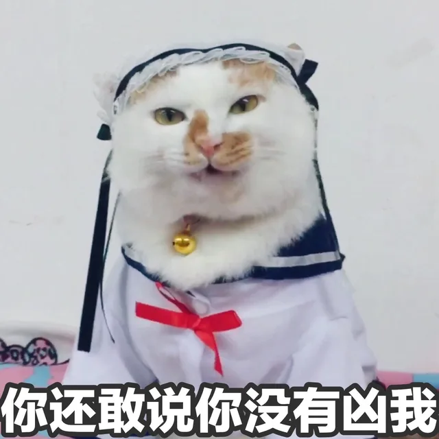 一组花脸猫咪表情包_猫咪表情包