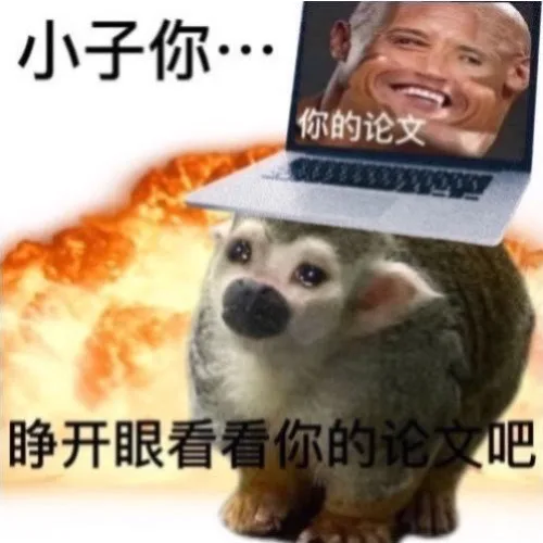 小子你…你的论文睁开眼看看你的论文吧（小子你…你的论文睁开眼看看你的论文吧）