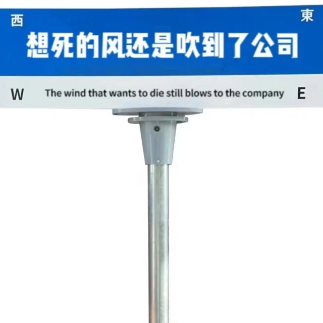 西想死的风还是吹到了公司WThe wind that wants to die still blows to the companyE（西想死的风还是吹到了公司WThe wind that wants to die still blows to the companyE）