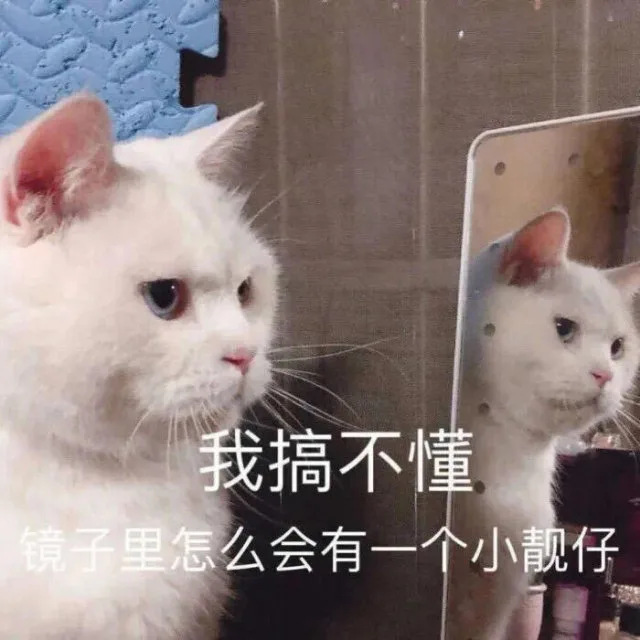 我搞不懂镜子里怎么会有一个小靓仔（我搞不懂镜子里怎么会有一个小靓仔）