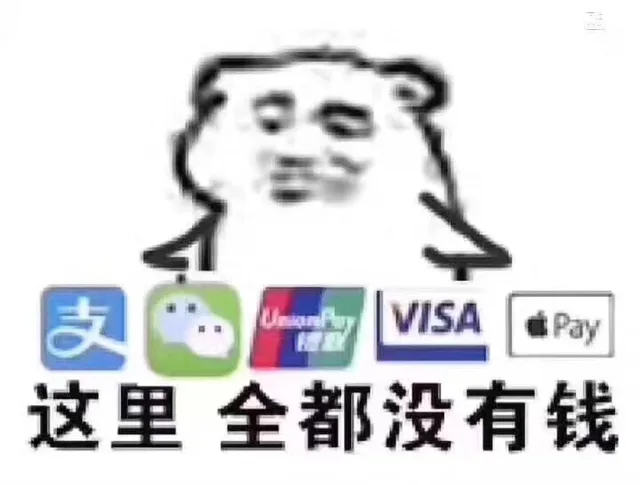 支 visa apy这里全都没有钱（支 visa apy这里全都没有钱）