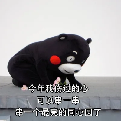 今年我伤过的心可以串一串串一个最亮的同心圆了（今年我伤过的心可以串一串串一个最亮的同心圆了）