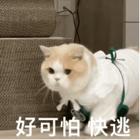 好可怕快逃（好可怕快逃）
