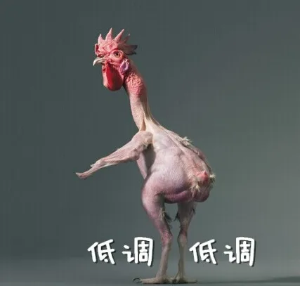 低调，低调（低调，低调）