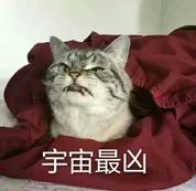 宇宙最凶（宇宙最凶）