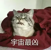 宇宙最凶