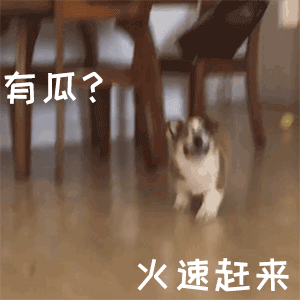 有瓜？火速赶来（有瓜？火速赶来）