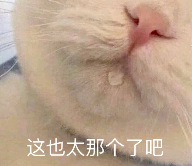 这也太那个了吧（猫咪流口水表情包）（这也太那个了吧（猫咪流口水表情包））