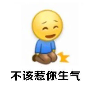 不该惹你生气