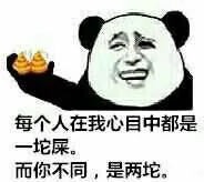 每个人在我心目中都是一坨屎。而你不同，是两坨