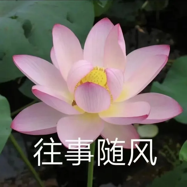 往事随风（往事随风）