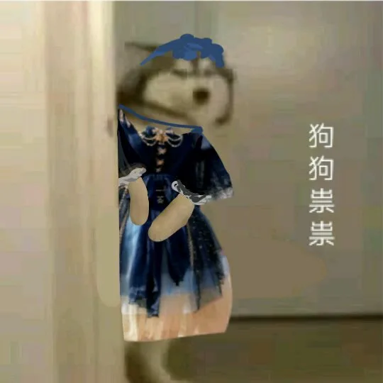 狗狗祟祟换装表情包（狗狗祟祟换装表情包）