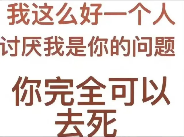 我这么好一个人讨厌我是你的问题你完全可以去死（我这么好一个人讨厌我是你的问题你完全可以去死）