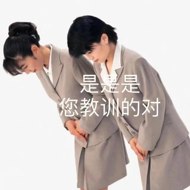 是是是您教训的对（是是是您教训的对）
