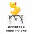 对方不想跟你说话，并向你扔了一只小鸭子