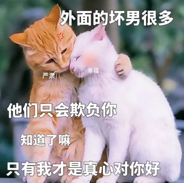 外面的坏男很多幸福严肃他们只会欺负你知道了嘛只有我才是真心对你好（外面的坏男很多幸福严肃他们只会欺负你知道了嘛只有我才是真心对你好）