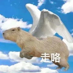 走咯(水豚表情包)（走咯(水豚表情包)）