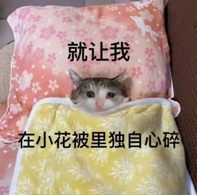 就让我在小花被里独自心碎（就让我在小花被里独自心碎）