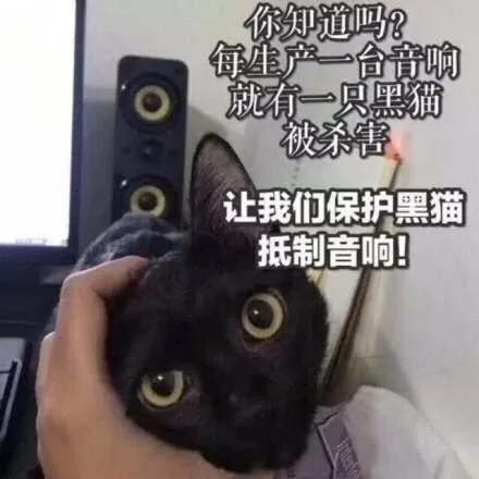 你知道吗?每生产就有一只黑猫被杀害让我们保护黑猫抵制音响!