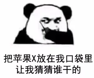 把苹果 X 放在我口袋里，让我猜猜谁干的