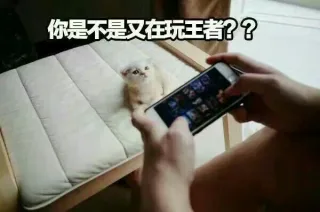 说！你是不是又在玩游戏_喵星人_王者荣耀_王者农药_萌萌哒表情包