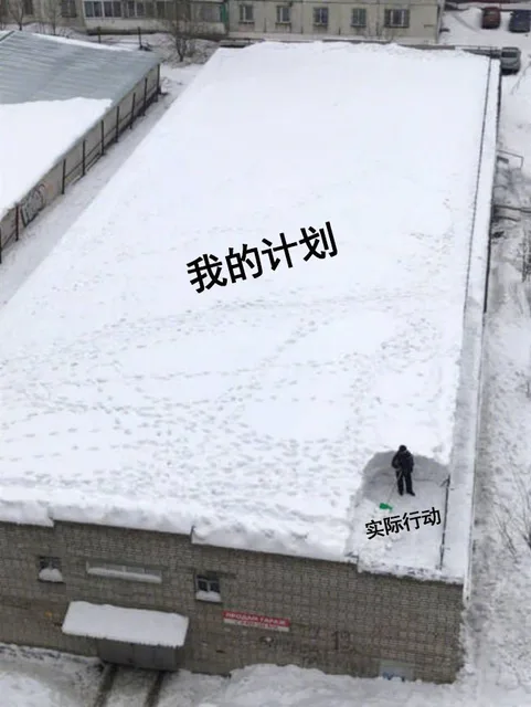 我的计划 vs 实际行动（雪地）