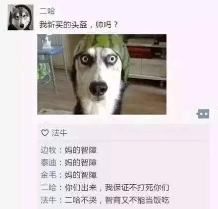狗狗的朋友圈_狗_朋友圈_汪星人_萌萌哒表情包