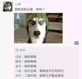 二哈哈士奇：我新买的头盔，帅吗