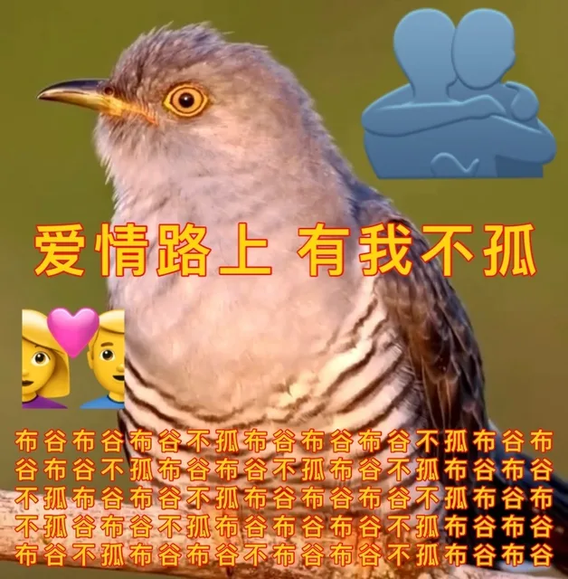 爱情路上有我不孤布谷布谷布谷不孤布谷布谷布谷不孤布谷布谷布谷不孤布谷布谷不孤布谷不孤布谷布谷不孤布谷布谷不孤布谷布谷布谷不孤布谷布不孤谷布谷不孤布谷布谷布谷不孤布谷布谷布谷不孤布谷布谷不布谷布谷不孤布谷布谷（爱情路上有我不孤布谷布谷布谷不孤布谷布谷布谷不孤布谷布谷布谷不孤布谷布谷不孤布谷不孤布谷布谷不孤布谷布谷不孤布谷布谷布谷不孤布谷布不孤谷布谷不孤布谷布谷布谷不孤布谷布谷布谷不孤布谷布谷不布谷布谷不孤布谷布谷）