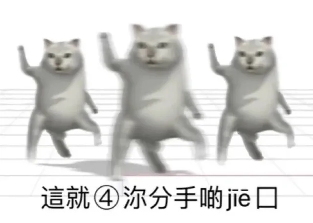 憨憨猫Mur猫