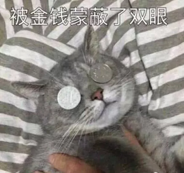 被金钱蒙蔽了双眼_金钱_装逼_萌萌哒