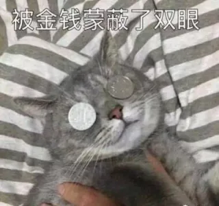 被金钱蒙蔽了双眼_金钱_装逼_萌萌哒表情包