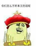 你妈怎么不听本王的呢（你妈怎么不听本王的呢）