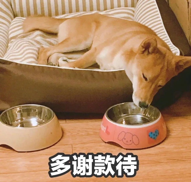 多谢款待（多谢款待）