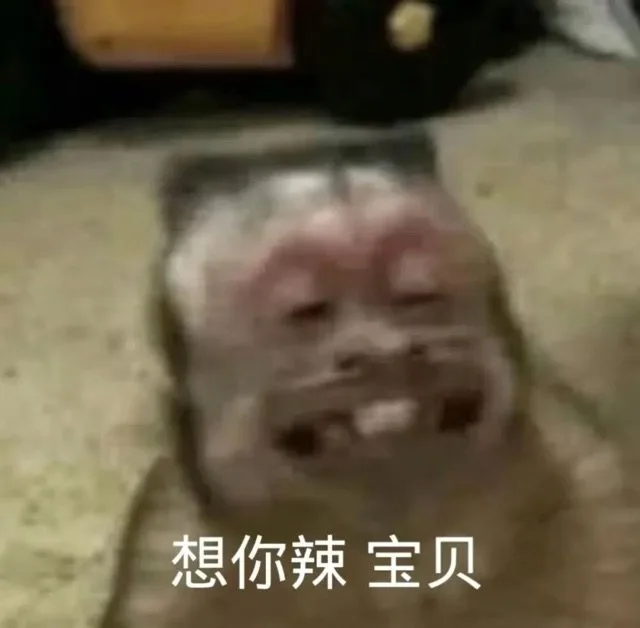 想你辣宝贝（想你辣宝贝）
