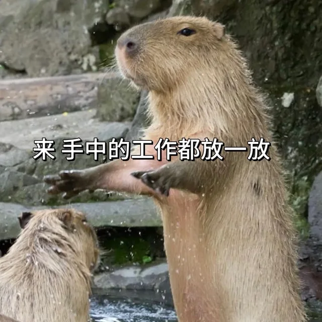 来手中的工作都放一放